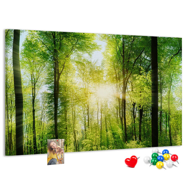 Tablero de corcho decorado Bosque verde con rayos de sol
