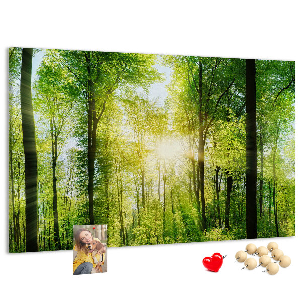 Tablero de corcho decorado Bosque verde con rayos de sol