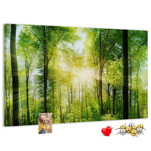 Tablero de corcho decorado Bosque verde con rayos de sol