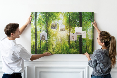 Tablero de corcho decorado Bosque verde con rayos de sol