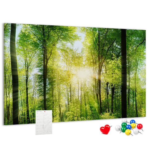 Tablero de corcho decorado Bosque verde con rayos de sol