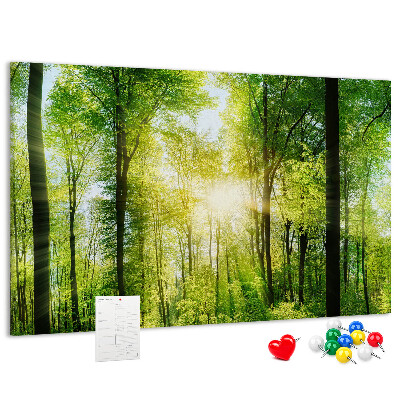Tablero de corcho decorado Bosque verde con rayos de sol
