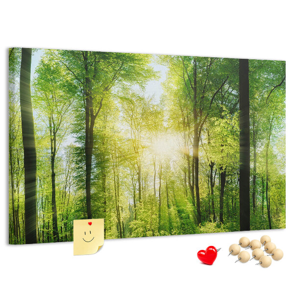 Tablero de corcho decorado Bosque verde con rayos de sol