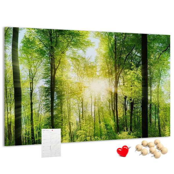 Tablero de corcho decorado Bosque verde con rayos de sol