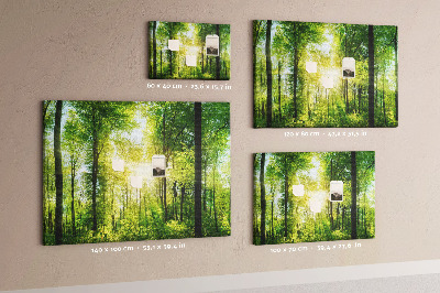 Tablero de corcho decorado Bosque verde con rayos de sol