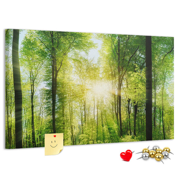Tablero de corcho decorado Bosque verde con rayos de sol