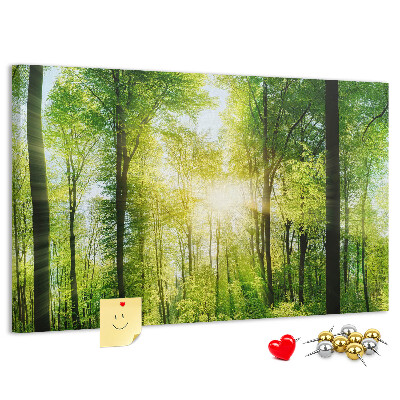 Tablero de corcho decorado Bosque verde con rayos de sol