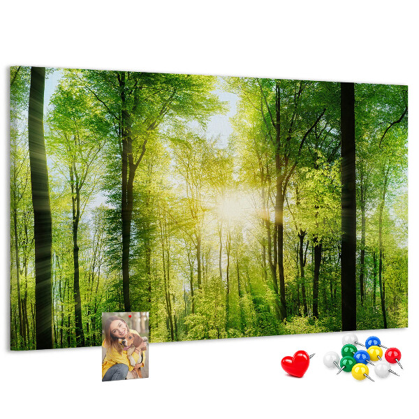 Tablero de corcho decorado Bosque verde con rayos de sol