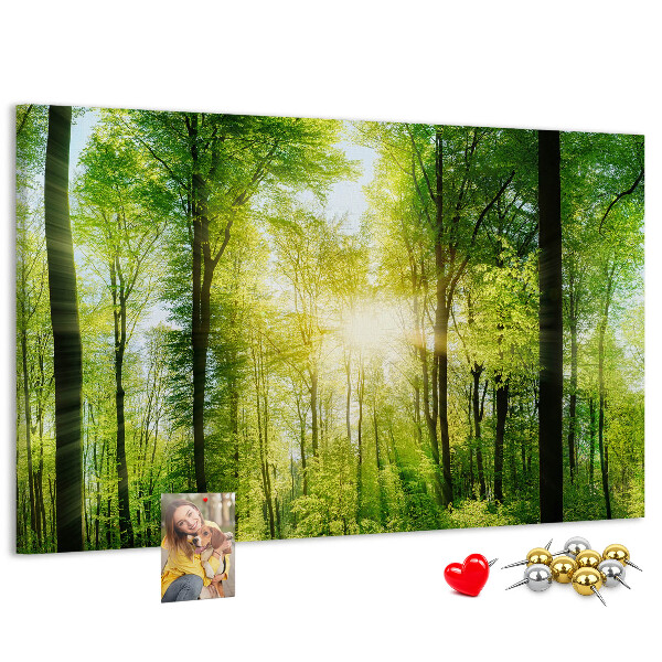 Tablero de corcho decorado Bosque verde con rayos de sol