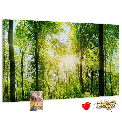 Tablero de corcho decorado Bosque verde con rayos de sol