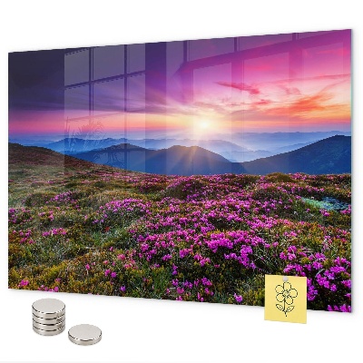 Pizarra magnética Flores del amanecer