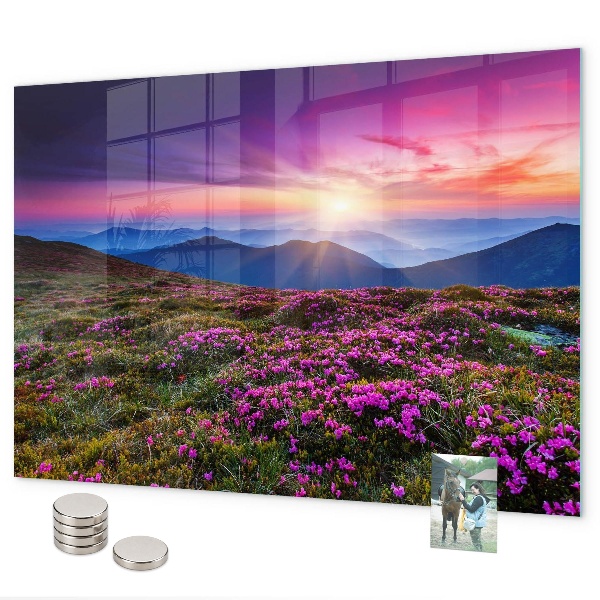 Pizarra magnética Flores del amanecer