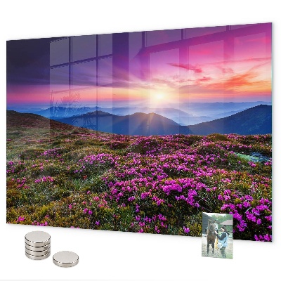Pizarra magnética Flores del amanecer