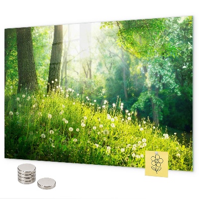 Pizarra magnética de cristal Naturaleza primaveral