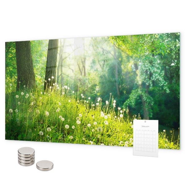 Pizarra magnética de cristal Naturaleza primaveral