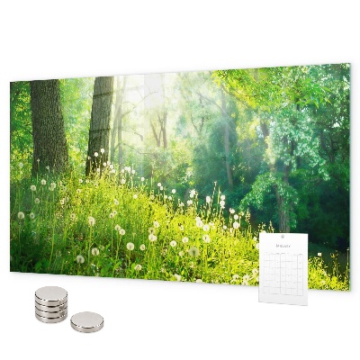 Pizarra magnética de cristal Naturaleza primaveral