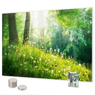 Pizarra magnética de cristal Naturaleza primaveral