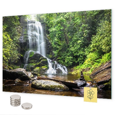 Pizarra magnética de cristal Cascada del bosque