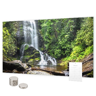 Pizarra magnética de cristal Cascada del bosque