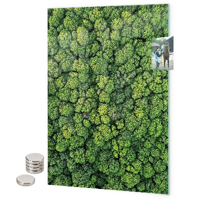 Pizarrón magnético Albahaca