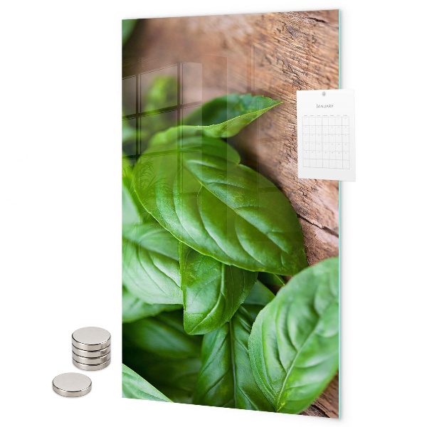 Pizarrón magnético Albahaca