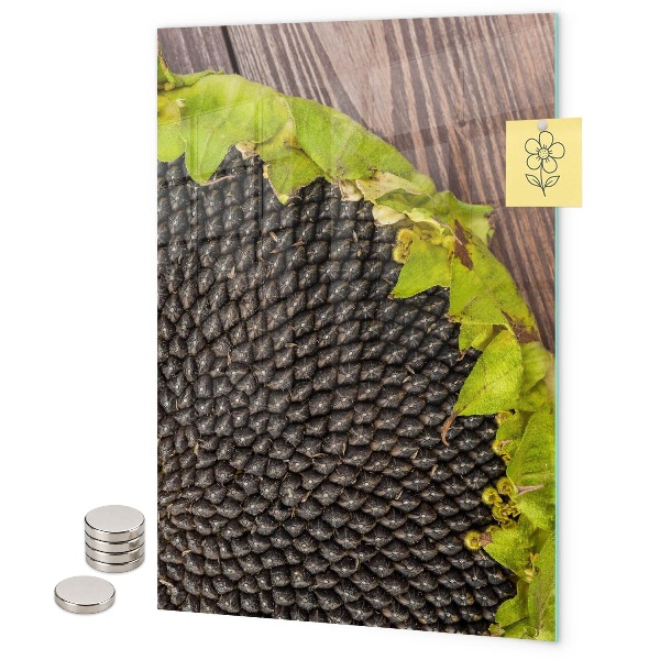 Pizarra magnética de pared semillas de girasol