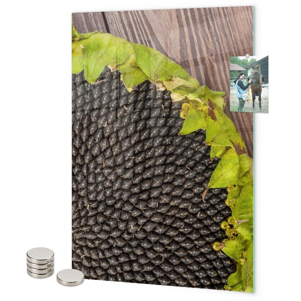 Pizarra magnética de pared semillas de girasol