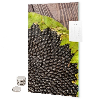 Pizarra magnética de pared semillas de girasol