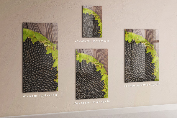Pizarra magnética de pared semillas de girasol