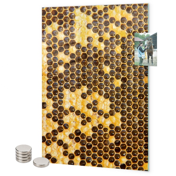 Pizarra magnética de pared Panal
