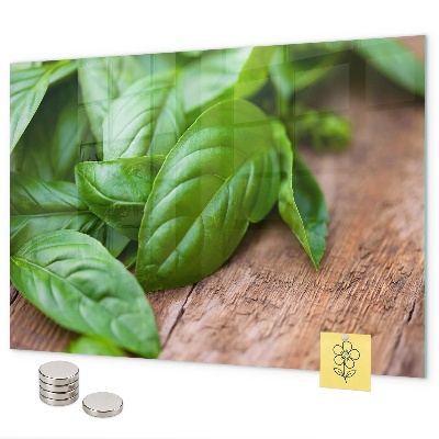 Pizarra magnética Hojas de albahaca