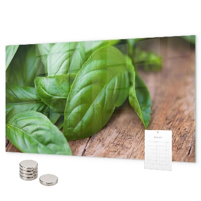 Pizarra magnética Hojas de albahaca