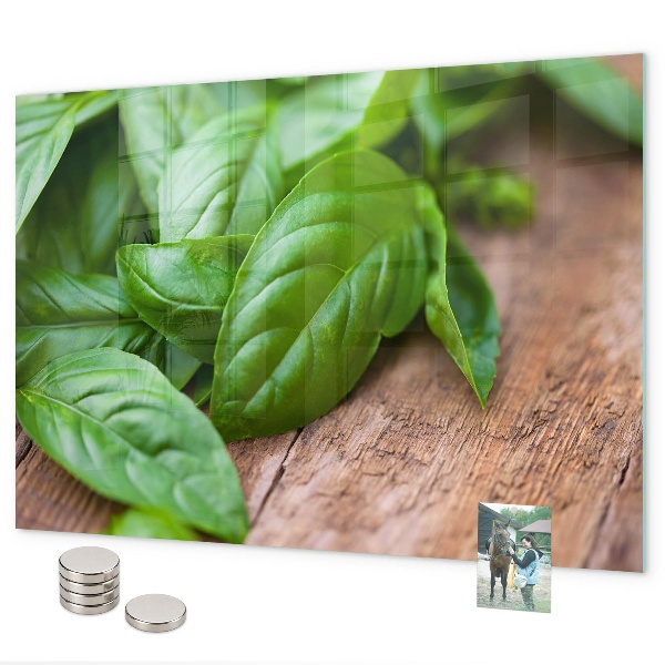 Pizarra magnética Hojas de albahaca