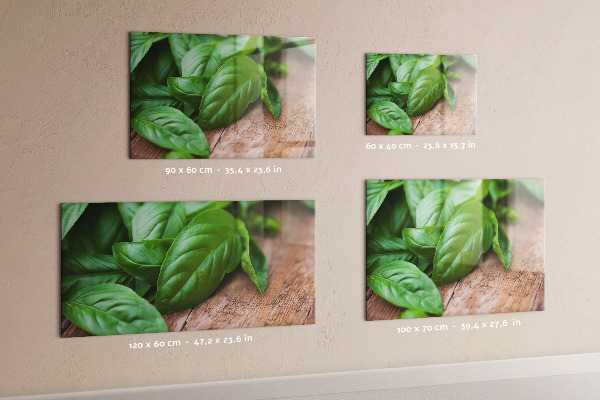 Pizarra magnética Hojas de albahaca