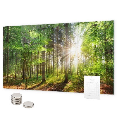 Pizarra magnética Amanecer en el bosque