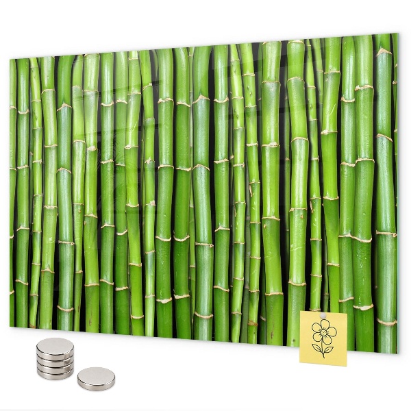 Pizarra magnética de cristal Pared de bambú