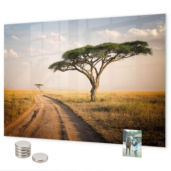 Pizarra magnética de cristal paisaje africano