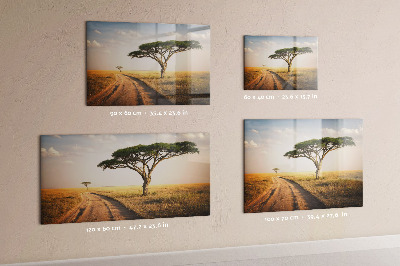 Pizarra magnética de cristal paisaje africano