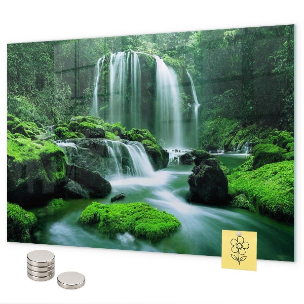 Pizarra magnética de cristal Cascada entre el musgo