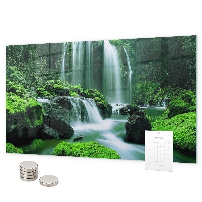 Pizarra magnética de cristal Cascada entre el musgo