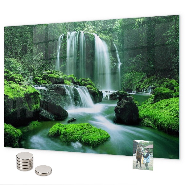 Pizarra magnética de cristal Cascada entre el musgo