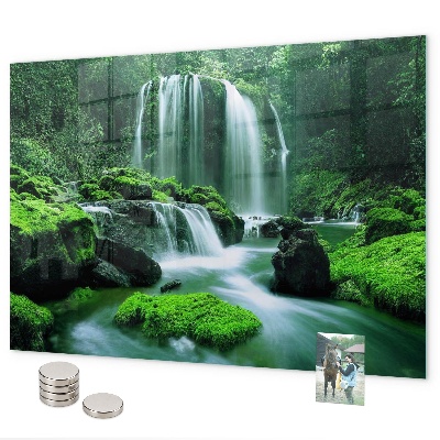 Pizarra magnética de cristal Cascada entre el musgo