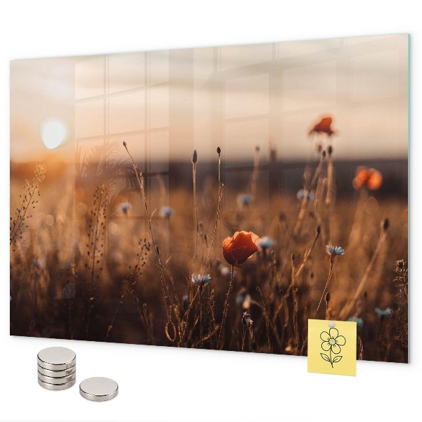 Pizarra magnética de cristal Amanecer en el campo
