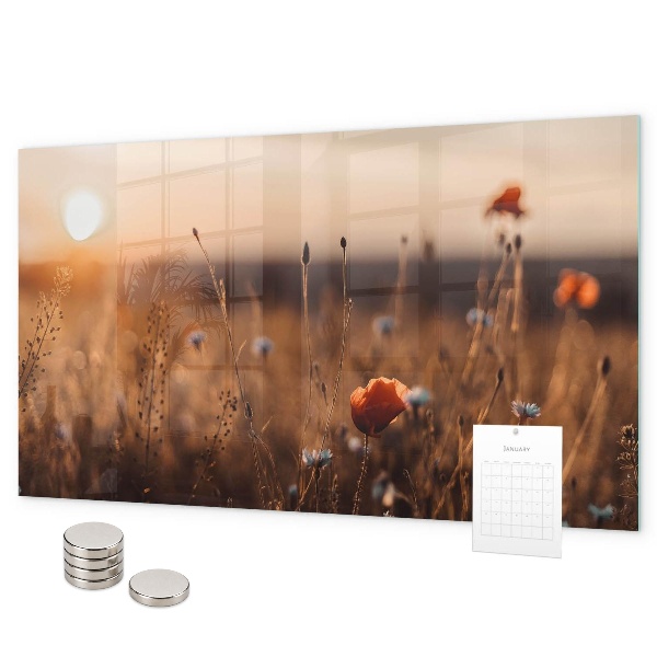 Pizarra magnética de cristal Amanecer en el campo