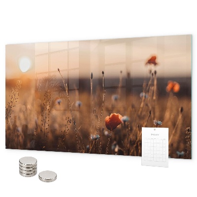 Pizarra magnética de cristal Amanecer en el campo