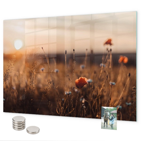Pizarra magnética de cristal Amanecer en el campo