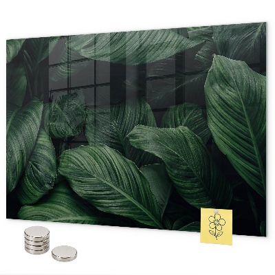 Pizarra magnética de cristal Monstera tropical