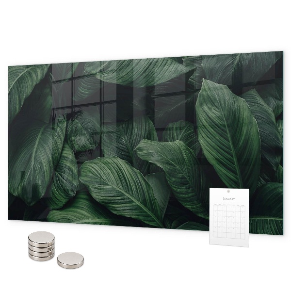 Pizarra magnética de cristal Monstera tropical