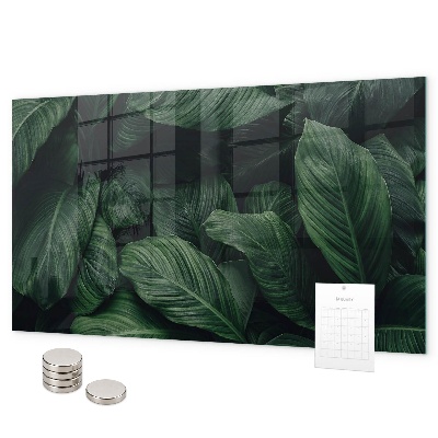 Pizarra magnética de cristal Monstera tropical