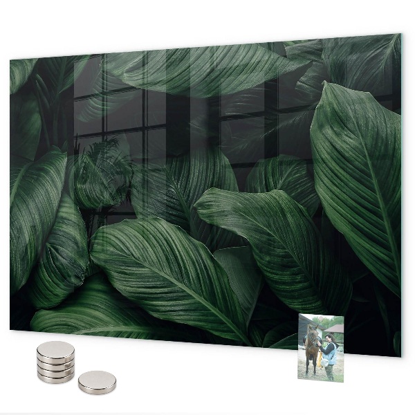 Pizarra magnética de cristal Monstera tropical